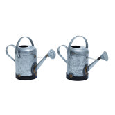 Galvn Rustic Water Can (Set of 2)