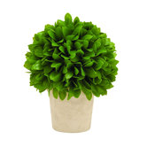 Leaf Ball in Pot