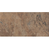 Tundra 12" x 24" Porcelain Field Tile in Terrain
