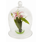 Bell Jar Round Terrarium