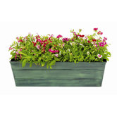 Standard Galvanized Tin Window Box