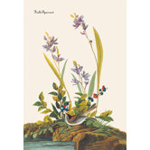 Field Sparrow Canvas Art