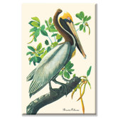 Brown Pelican Canvas Wall Art