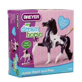 Junior Paint and Play Set