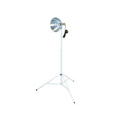 Testrite Light Bulbs