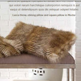 Lucca Oblong Pillow