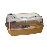 Turtle Box in Cream