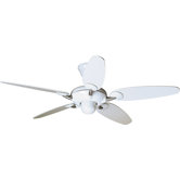 Alchemy Ceiling Fan with Remote