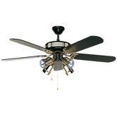 Black Magic Ceiling Fan with Light