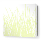 Grass Stretched Wall Art in Dew