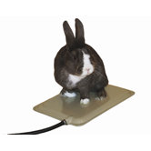 Small Animal Heated Pad