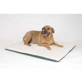 Ortho Heated Dog Bed with "Stay Put" Bottom