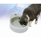 Cat Clean Flow Filter