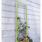 Ina Wall Trellis Senior