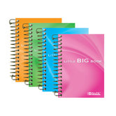 Premium Spiral Fat Book (Set of 48)