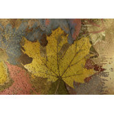 Autumn Dissolve No.2 Wall Art