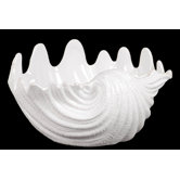 Ceramic Seashell
