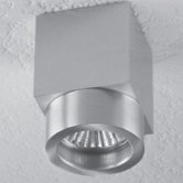 Alume 1 Light Ceiling Accent Light