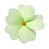 Multi Layered Flower