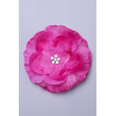 Rosette Hair Clip