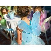 Butterfly Fairy Wing Costume