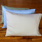Kapok Pillow with Organic Case