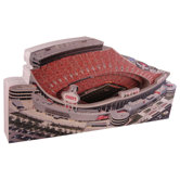 NFL Regular Stadium and Display Case