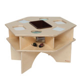 Natural Environment Deluxe Science Table