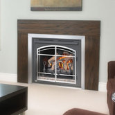 Fire Box Gas Fired Unvented Room Heater