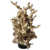 Mulberry Root Free Form Statue on Wood Base