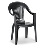 Splendida Scratchproof High Back Armchair