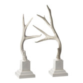 Weathered Resin Buck Antler Set with Base (Set of 2)