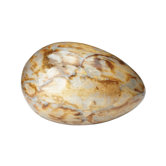 Sliced Mango Seed Egg Ornament