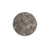 Guinea Hen Feather Ball