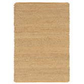 Braided Area Rug