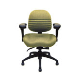 Low-Back Lifestyles Task Executive Chair with Arms