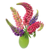 Flat Flowers Window Stickers Originals in Lupine