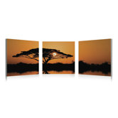 Serengeti Wall Art
