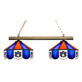 NCAA 2 Light Pool Table Light