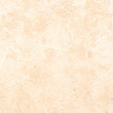 Crema 12" x 24" Floor and Wall Tile in Marfil