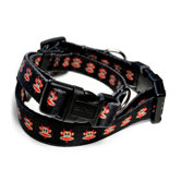 Paul Frank Devil Julius Dog Collar