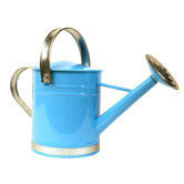 Basic Watering Can