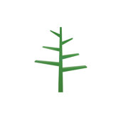 Spruce Tree Bookcase