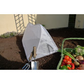 Pop-Up Carrot Fly Cloche