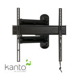 Full Motion Mount