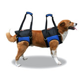 Zupport Theraputic Front Dog Harness