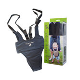 My Early Steps Soft Structured Baby Walker