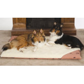 WarmSense&reg; Ortho Dog Bed