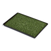 Tinkle Turf