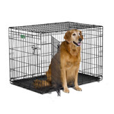 iCrate Double-Door Dog Crate